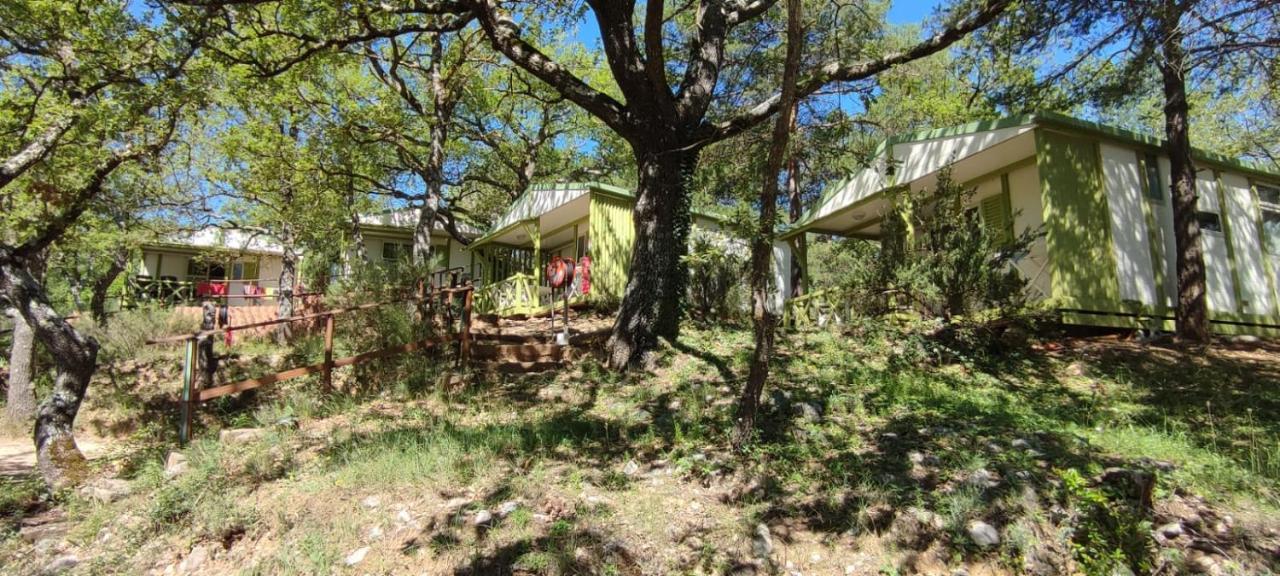 Camping Pres Du Lac De Sainte Croix 博迪昂 外观 照片